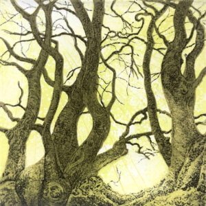 Dance Of The Trees - original drypoint etching and linocut print by artist Lisa Benson.