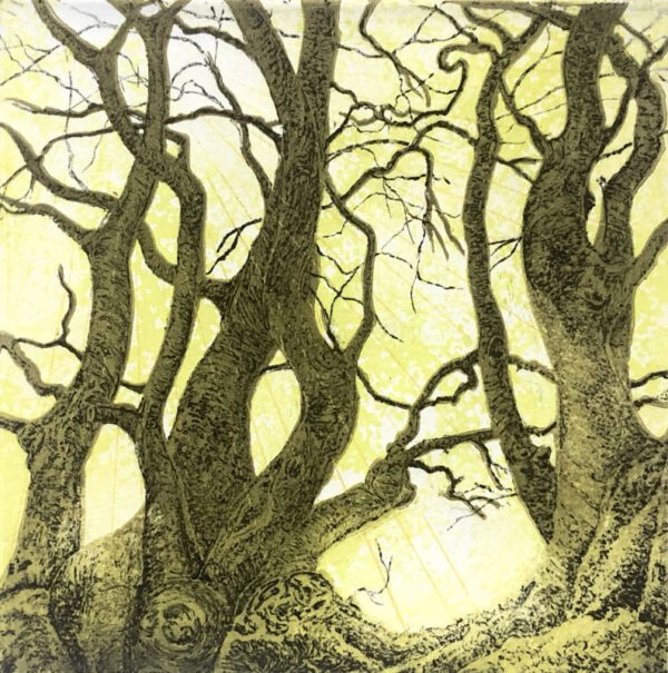 Dance Of The Trees - original drypoint etching and linocut print by artist Lisa Benson.